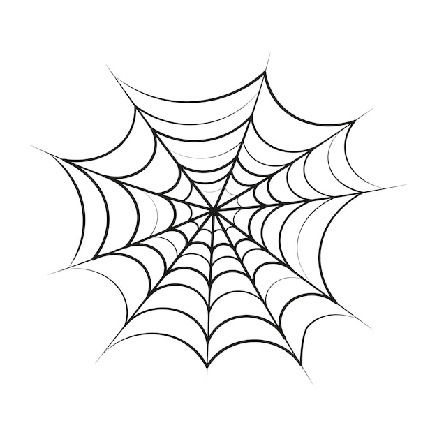 Vector illustration of Spider Web