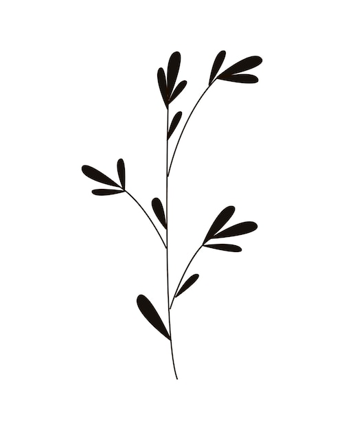 Vector illustration of Sprig