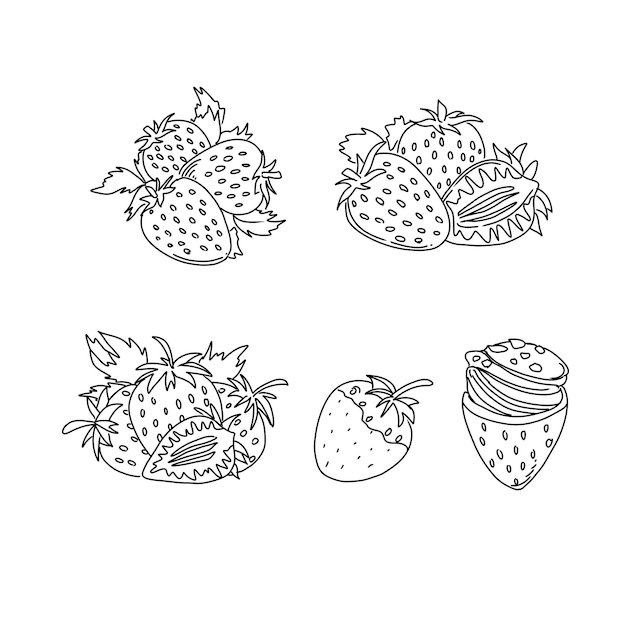 Vector vector illustration strawberry berry food fruit red sweet fresh juicy organic healthy