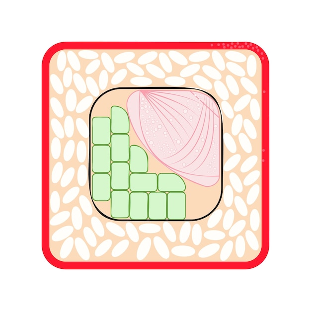 Vector illustration of sushi, Japanese food