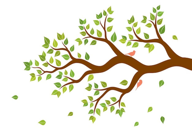 Vector illustration of tree branch with green leaves and two birds on white background