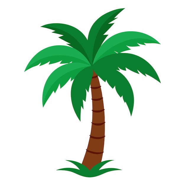 Vector Illustration of Tropical Palm Trees