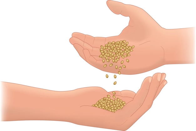 Vector illustration of two hands dripping grain