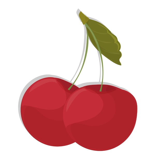 Vector illustration of two red cherries with a leaf on a white background