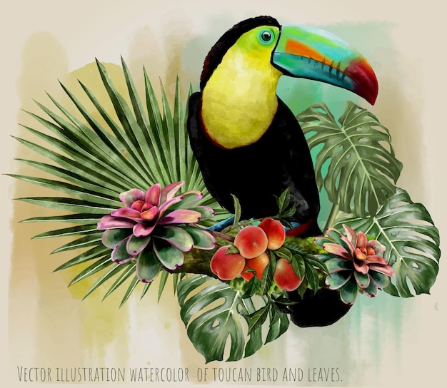 Vector illustration watercolor of toucan bird and leaves