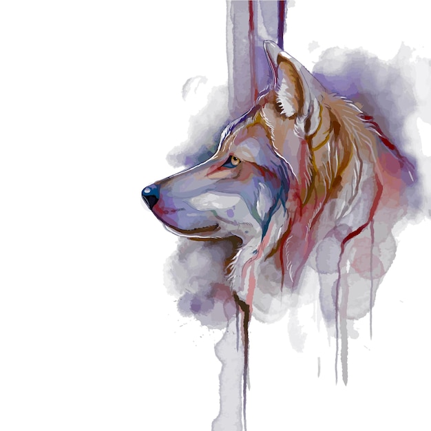 vector illustration of watercolor wolf