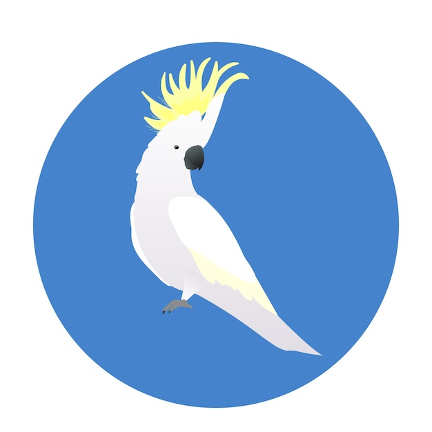 Vector illustration of a white cockatoo parrot bird on a round blue background