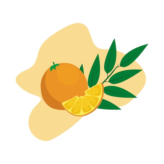 Vector illustration with orange and orange slice