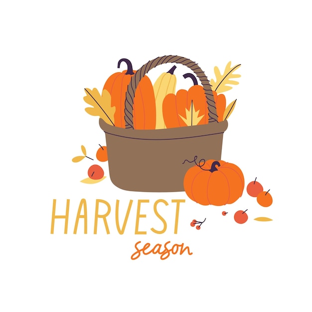 Vector illustration with straw basket full of pumpkins and foliage and with harvest season lettering Greeting card