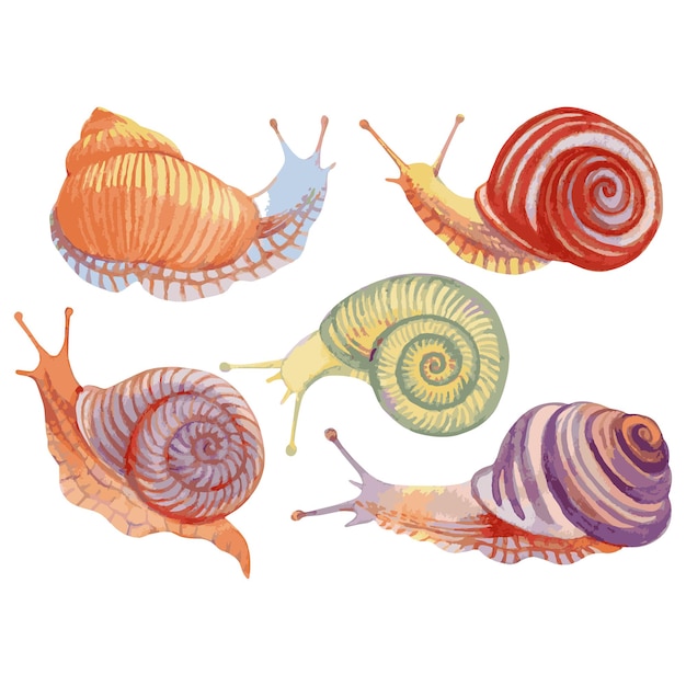 Vector illustration with watercolor set of snails isolated on white