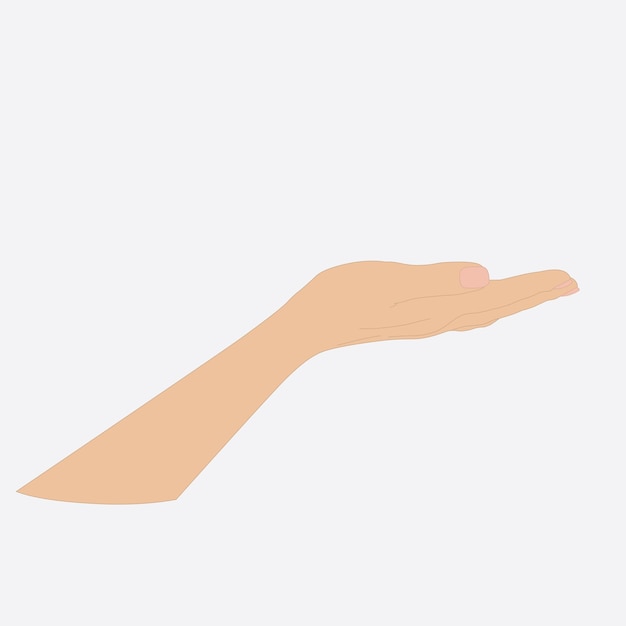 Vector illustration of woman's hand