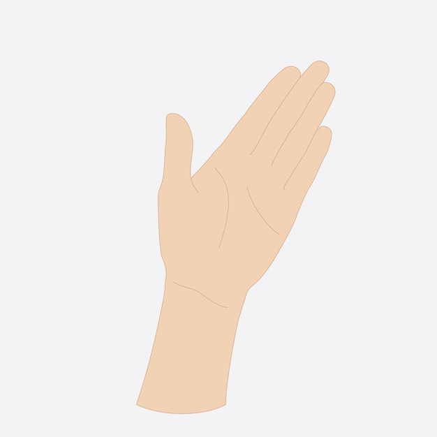 Vector illustration of a woman's palm light skin tone