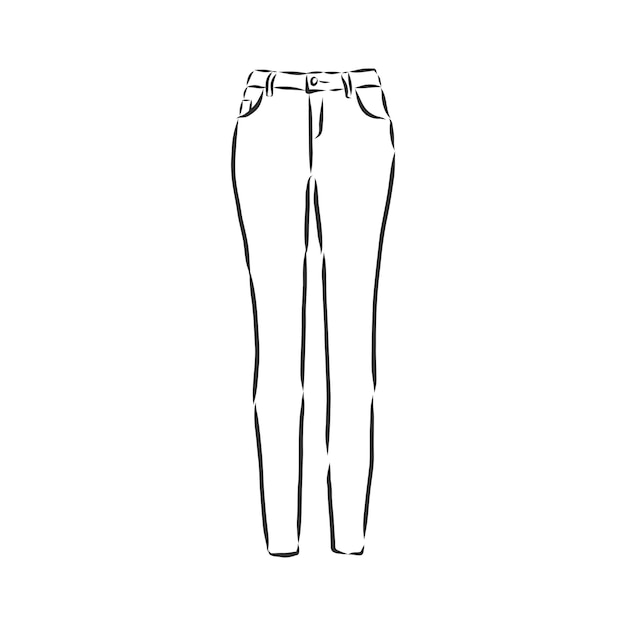 Vector illustration of women's skinny pants. women's skinny jeans, vector sketch illustration