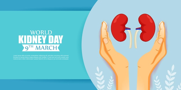 Vector illustration for World Kidney Day