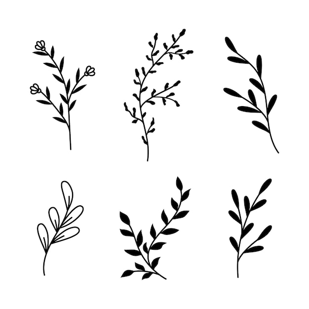 Vector illustrations of branches and leaves Hand drawn black floral elements Vintage botanical design