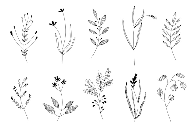 Vector illustrations a set of graphic flowers plants 11 handdrawn sketchstyle design elements Perfect for creating prints patterns tattoos etc