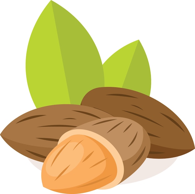 Vector Image Of Almonds Nuts Food Illustration