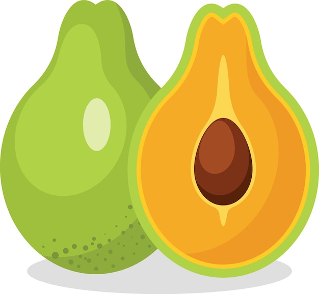 Vector Image Of An Avocado Fruit Split In Half Food Illustration