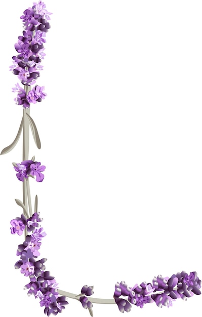 Vector image of the capital letter L of the English alphabet in the form of sprigs of lavender