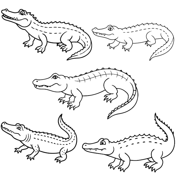 Vector vector image of a crocodile black and white drawing coloring book for children crocodile emblem