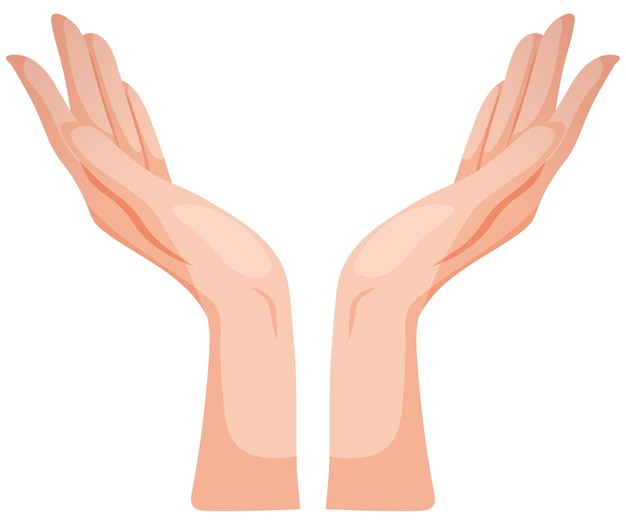 Vector image of hands pointing up Two hands on a transparent background