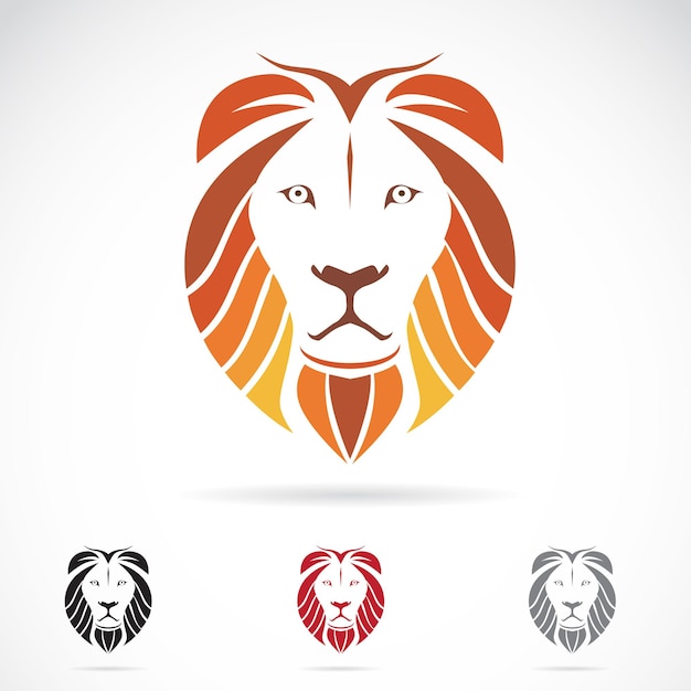 Vector image of an lion head