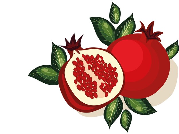 Vector image of a pomegranate Pomegranate with leaves Two grenades Cut pomegranate