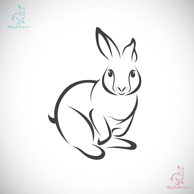 Vector image of an rabbit on white background