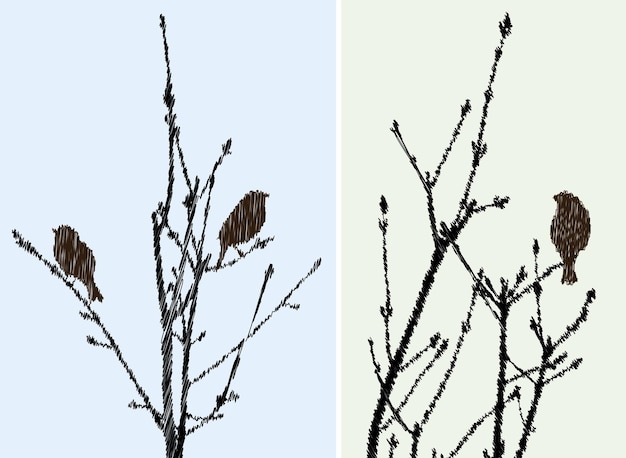 Vector vector image of scribble drawings silhouettes sparrows on tree branches in spring