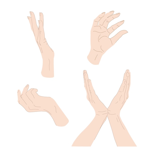 Vector image set of hands isolated on white background