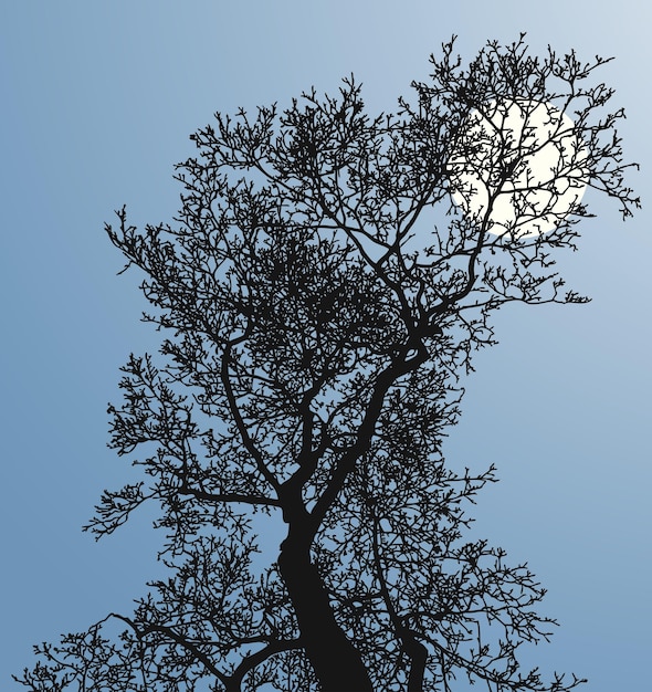 Vector image of silhouette tree in cold moonlit night