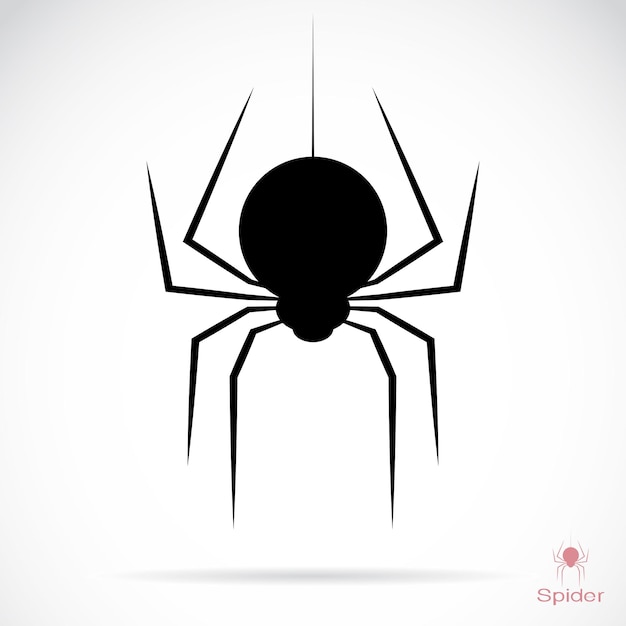 Vector image of an spider