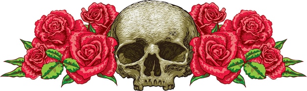 vector image of vintage roses with skull in art postcard style