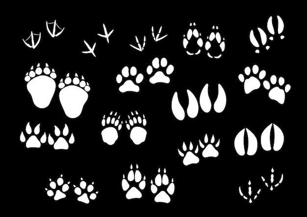 Vector imprint icons of animal or birds foot paws