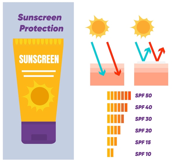 Vector vector infographic of sun protectionskin care conceptsunscreen sunblock spf