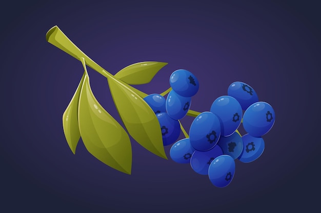 Vector isolated cartoon Twig with blue blueberries and leaves