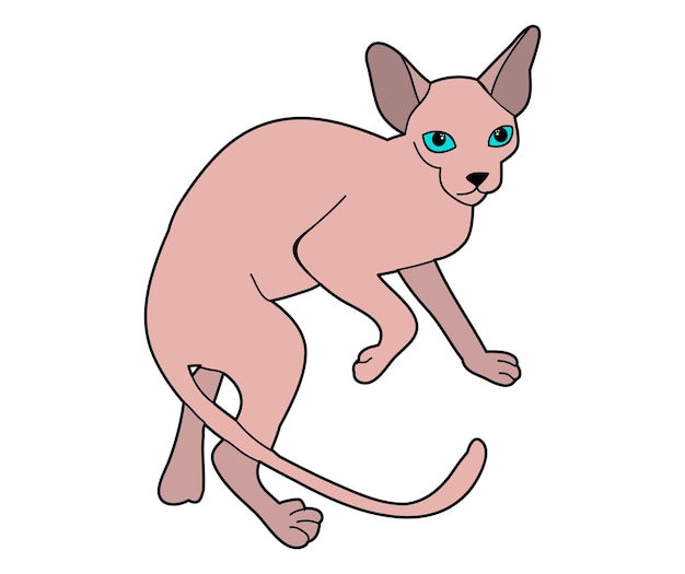 Vector isolated cat pet