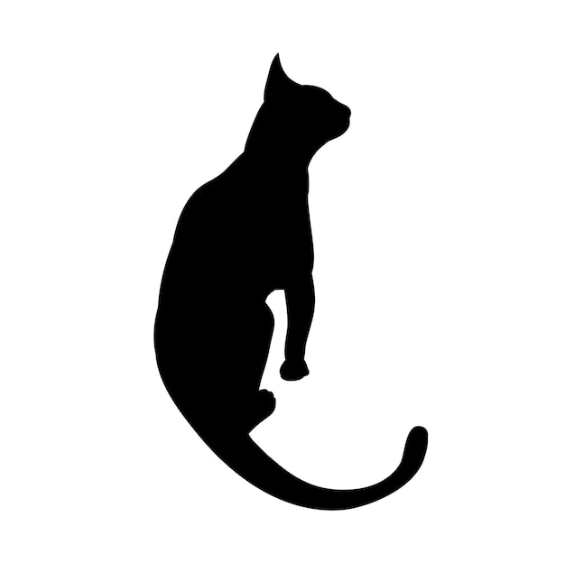 Vector vector isolated cat silhouette on white background