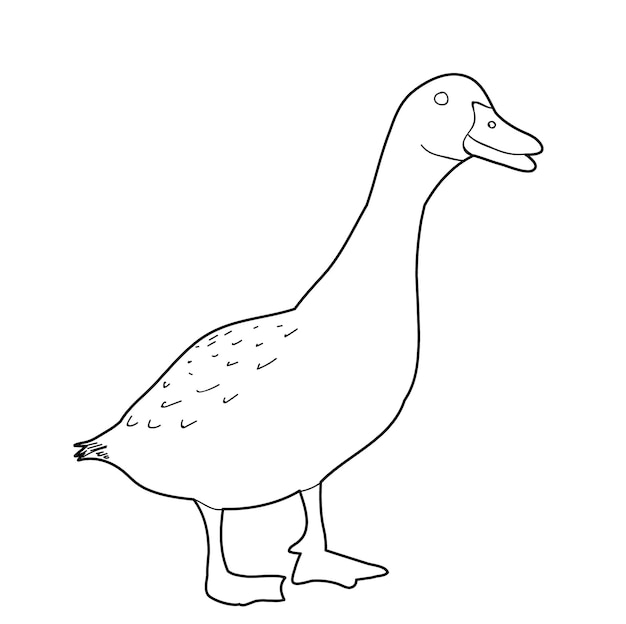 Vector isolated goose sketch coloring book