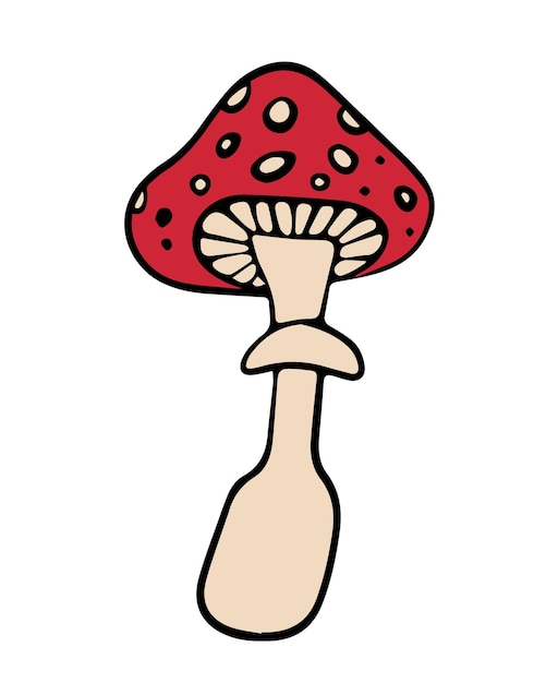 Vector isolated illustration of fly agaric on a white background