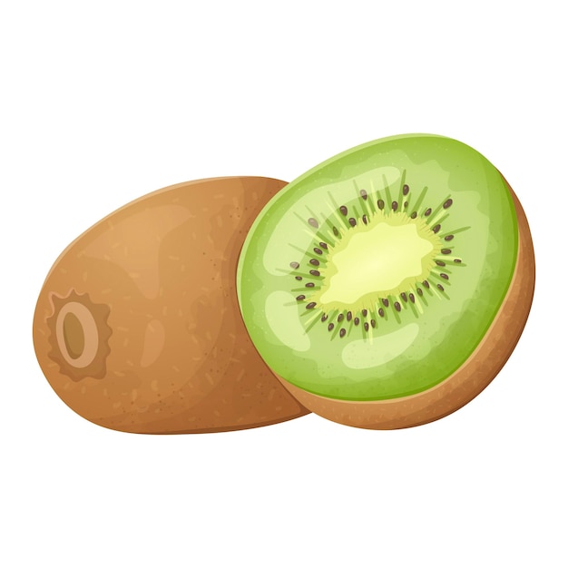 Vector isolated illustration of a realistic whole and halved kiwi A healthy tropical vitamin fruit