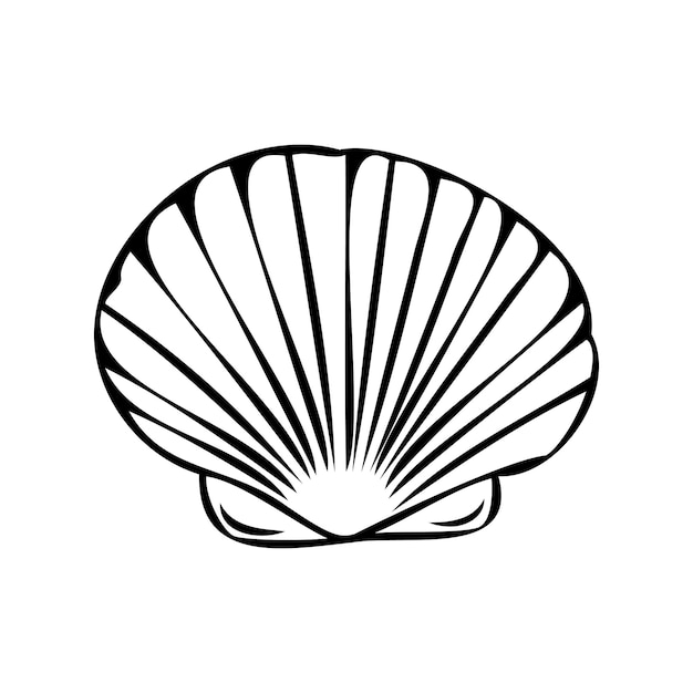 Vector isolated illustration of a shell Contour sketch of a shell in the doodle style