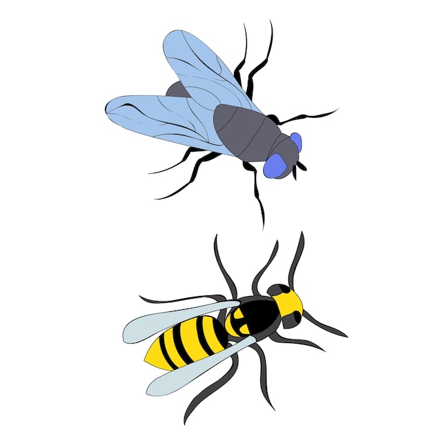 Vector isolated insect bee and fly