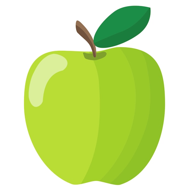 Vector isolated object illustration fruit green apple