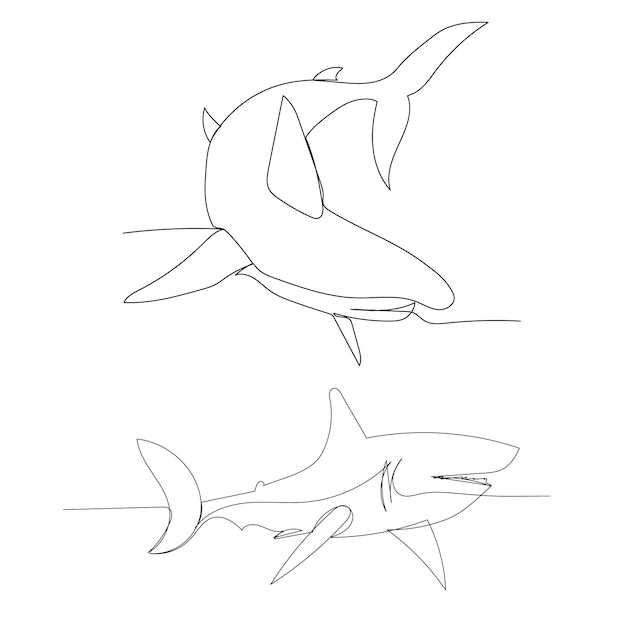 Vector isolated shark continuous line drawing