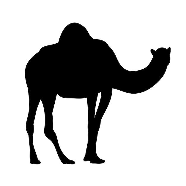 Vector isolated silhouette of a camel on a white background