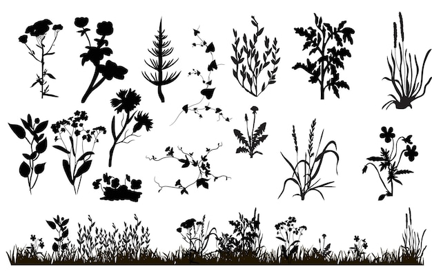 Vector isolated silhouette of grass and plants meadow on white background