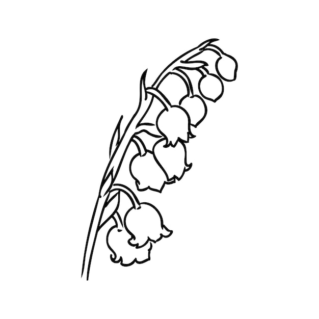 Vector isolated single lily valley branch colorless black and white contour line drawing