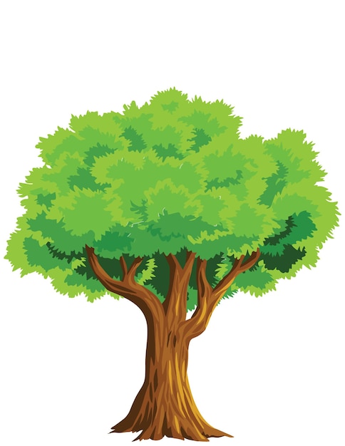 vector isolated tree on white background