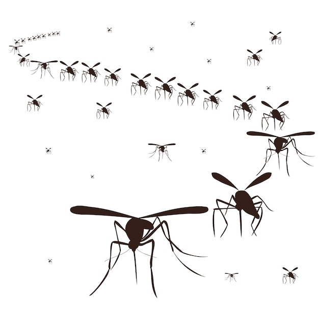 Vector isolated on a white background mosquitoes fly silhouette